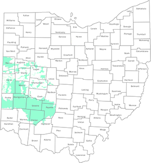 Shop AES Ohio Cheap Electric Rates