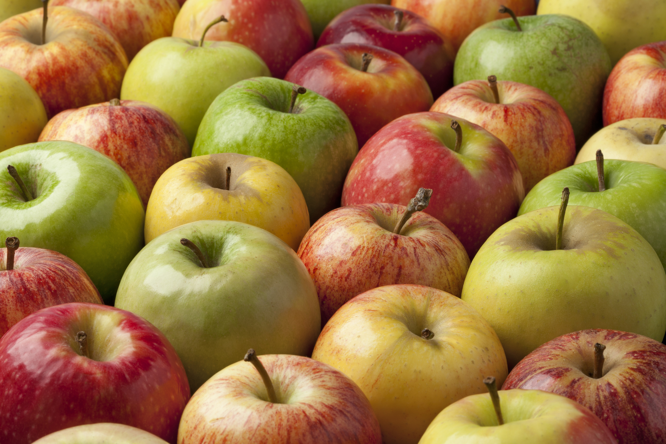 Ohio Apples to Apples