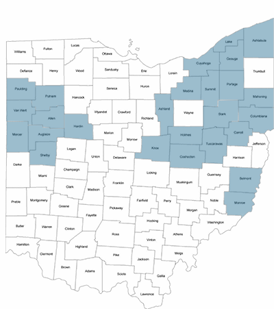 Shop Dominion Energy Cheap Rates
